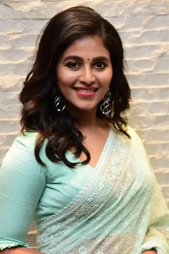 SOUTH INDIAN ACTRESS ANJALI STILLS IN TRADITIONAL LIGHT GREEN SAREE 6